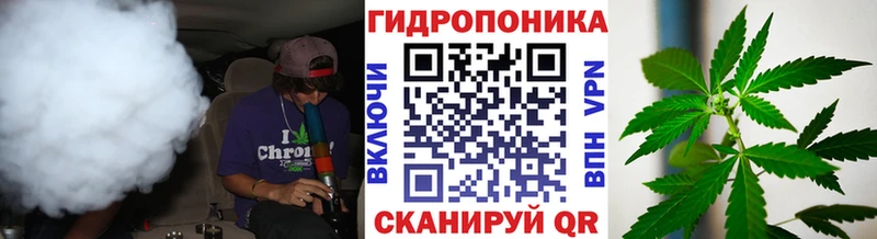 Купить  Жуковка  Канабис ГИДРОПОН 